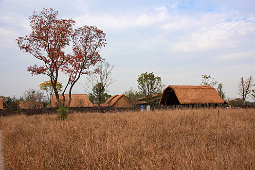 xổ số đài