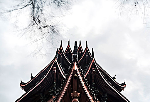 rong vang bach kim xsmb