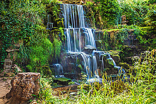soi cau lo bach thu khung 5 ngay