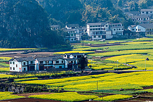 soi cau du doan mb