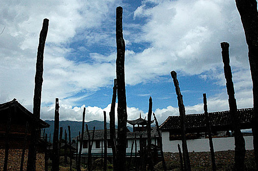 đánh lô dàn