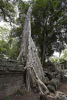kqxs đà nẵng