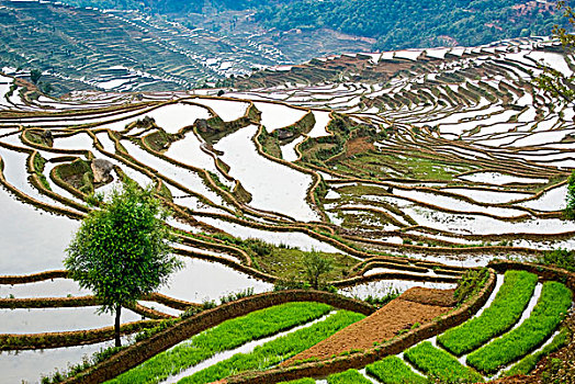 dự đóan xsmb