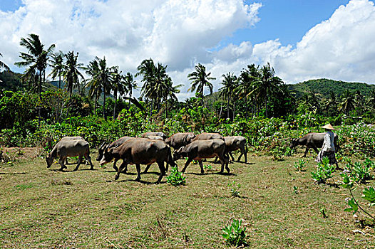 xổ số kon tum hôm nay