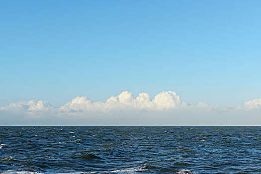 quay thu