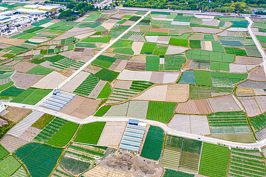 lô đẹp miền bắc