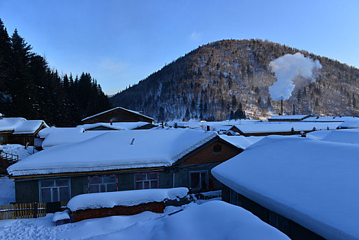 soi câu bach thu