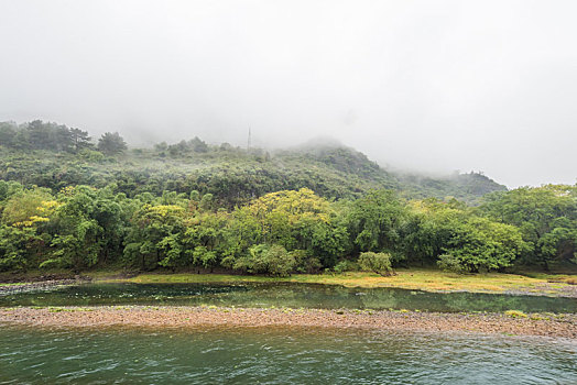 cầu bạch thủ long an