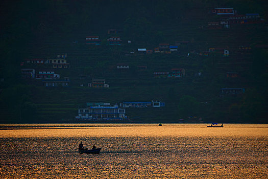 bạch thủ lô tô