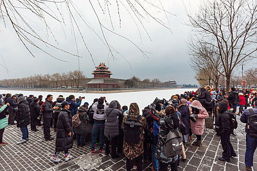 cau lo bach thu khung 5 ngay