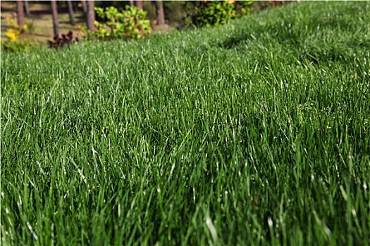 xổ số ngày hôm nay