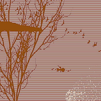 soi cau mb 6666