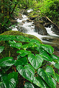 soi cau lo de binh dinh 568