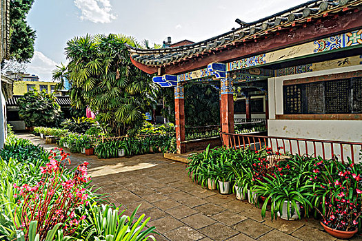 soi cau bach thu binh dinh