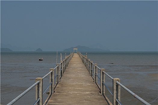 soicau bachthu lo