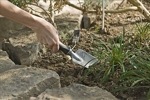 dự đoán kết quả xổ số quảng bình