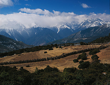 bach thu kep hom nay