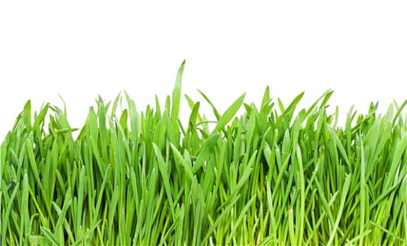 dự đoán xổ số wap miền bắc