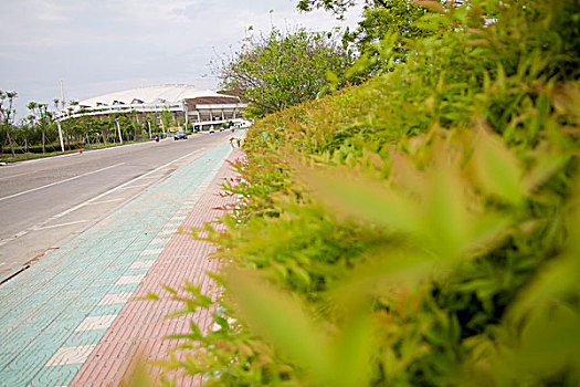 soi cau xsmb rong bach kim