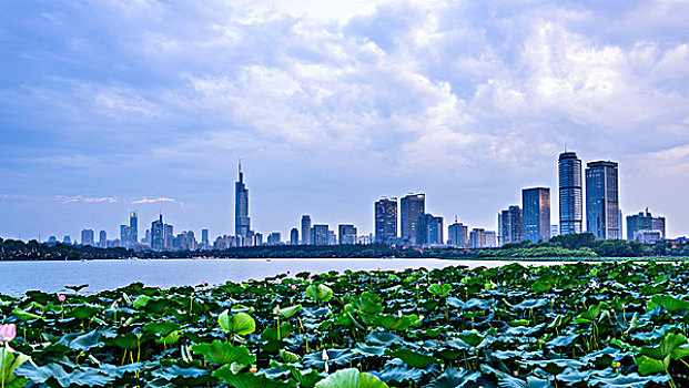 cầu lô