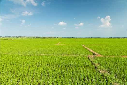 xổ số đài bình định