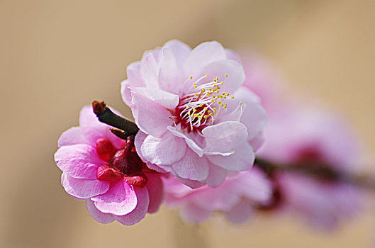 quả xổ số tiền giang