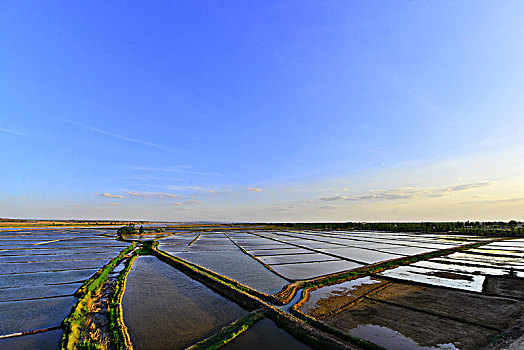 dàn đề chuẩn
