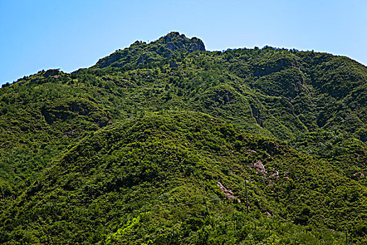 quay thử xổ số gia lai