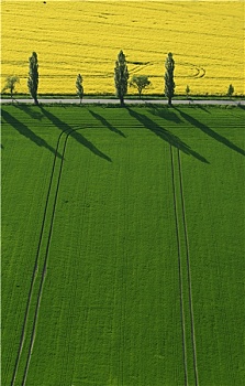 du doan ag