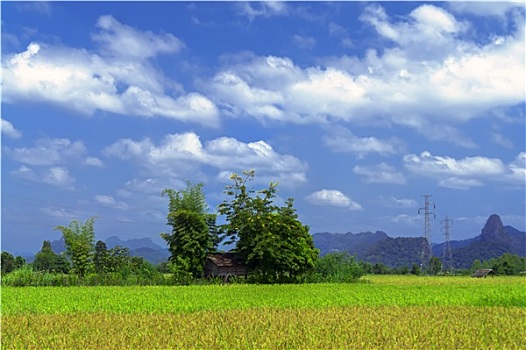 soi cầu lô bạch thủ 8785