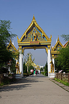 soi cau vip mien phi