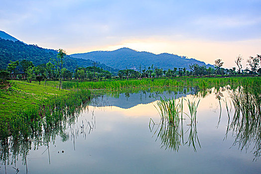bạch thủ 3 càng