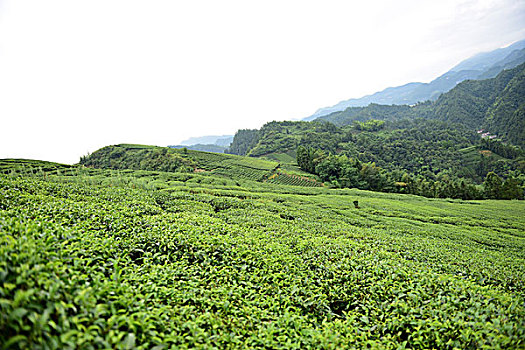 xskt binh dinh