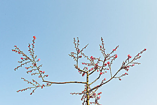 xổ số trong tuần