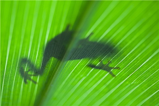 xổ số đài
