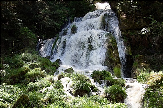 số kết quả