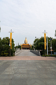 du doan rong bach kim