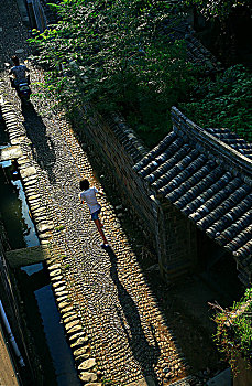 soi cau rong bach kim 2nhay