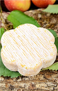 dự đoán xs khánh hòa