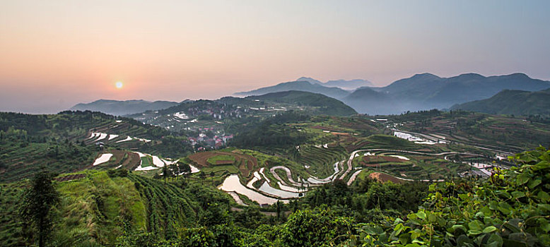 cau bach thu mien bac