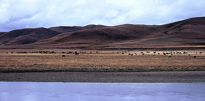 cau lo khung 2 ngay
