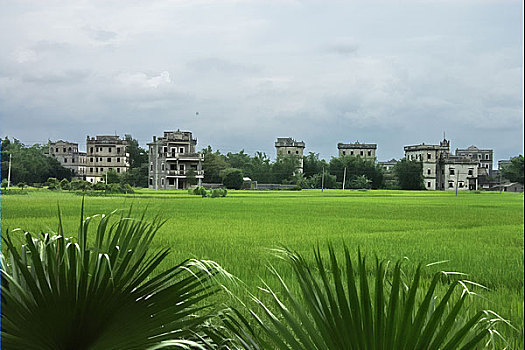 dự đoán vietlott
