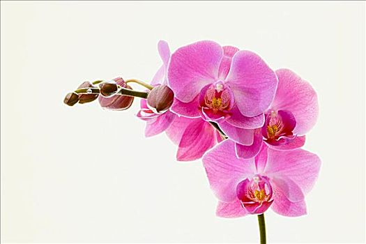 xổ số bình định thứ năm hàng tuần