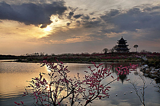 soi rong bach kim