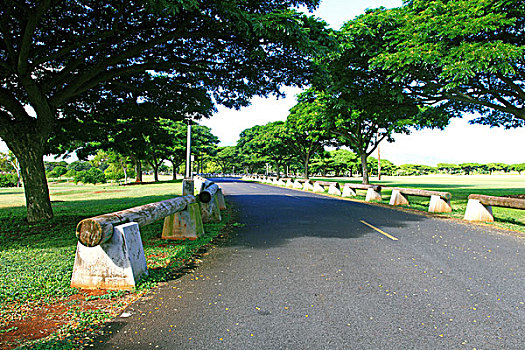 bạch thủ lô đề
