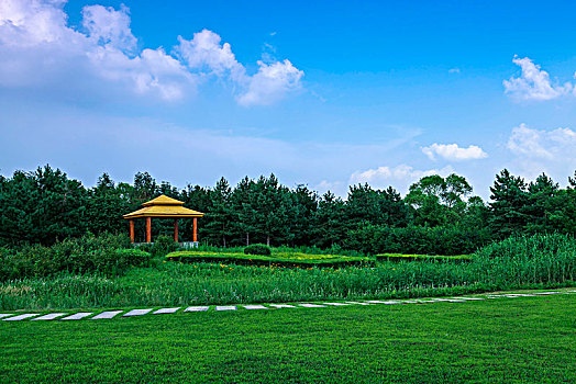 quay thử miền nam