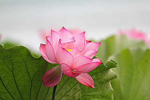 du doan xo so mien nam ngay hom nay