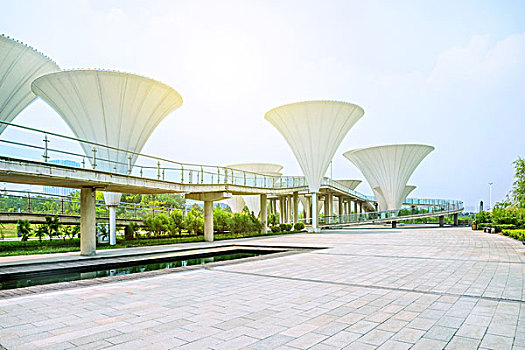 bach thu kep hom nay