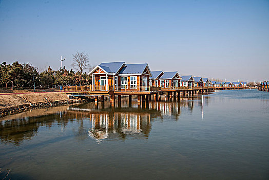 da ga trực tuyến
