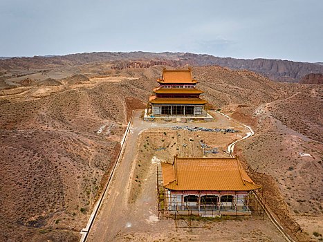rong bach kim 666 hom nay